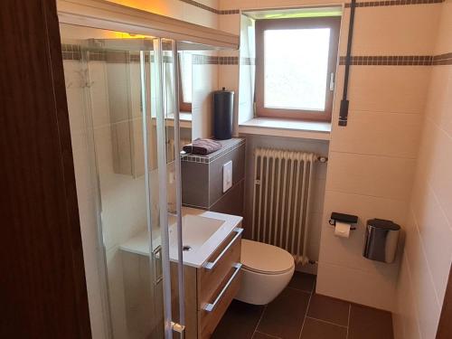 ÜdersdorfGasthaus Paula的一间带卫生间和水槽的小浴室