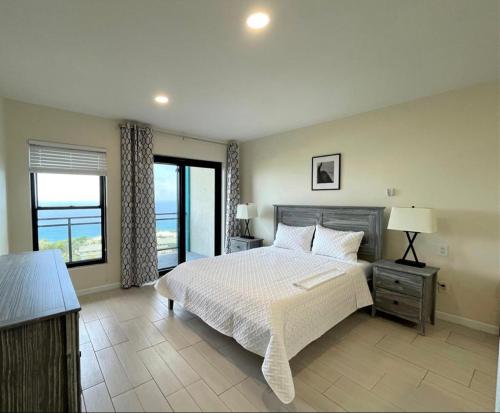 巴斯特尔Hillsboro Suites & Residences Condo Hotel, St Kitts的一间卧室设有一张大床和一个窗户。