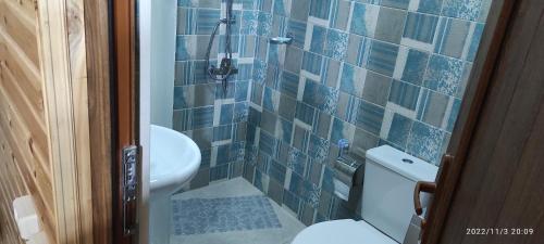 库塔伊西Cottage lima的浴室设有卫生间和蓝色瓷砖淋浴。