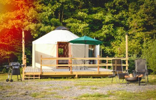 Roan MountainEco Friendly Glamping Yurt In Roan Mountain Tn的蒙古包,配有桌子和绿色雨伞