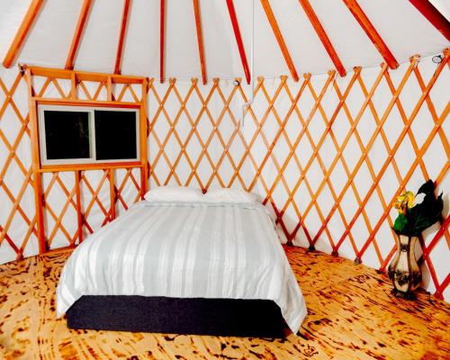 Roan MountainEco Friendly Glamping Yurt In Roan Mountain Tn的一间大客房,在蒙古包里配有一张床