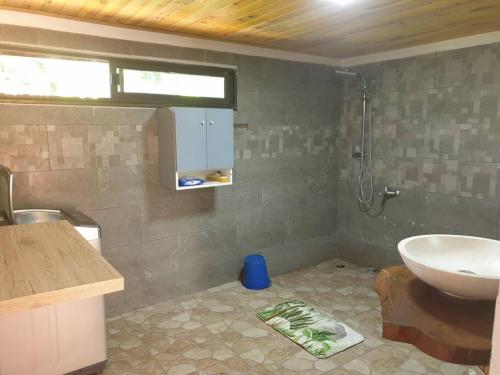 乌图罗阿Ohana Location Ravissant appart spacieux parking gratuit à uturoa的一间带水槽、卫生间和淋浴的浴室