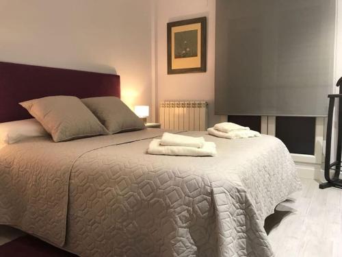 阿维拉Albatros (wifi y garaje)的一间卧室配有一张大床和毛巾