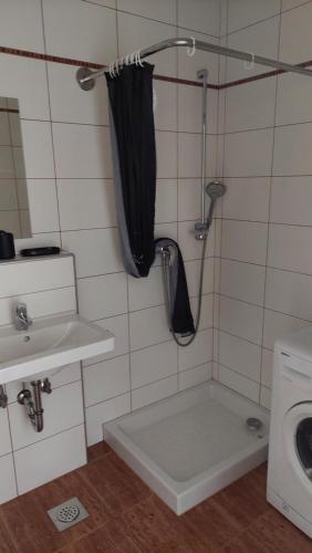 克拉尼Apartma Samo 3的带淋浴、盥洗盆和卫生间的浴室
