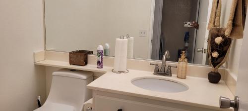 帕姆代尔Be Our Guest-Shared Home Tampa的一间带水槽、镜子和卫生间的浴室