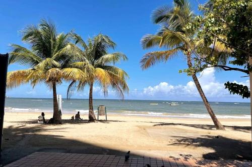 圣胡安Cozy Oceanview Studio w parking的两棵棕榈树和大海的海滩