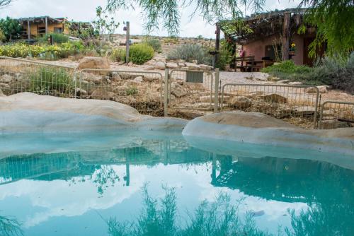 米德希特本-古里安卡梅阿沃達特農場酒店的房屋前的水池