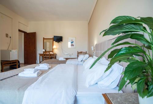 加拉希德松Koukonas的酒店客房设有两张床和盆栽植物