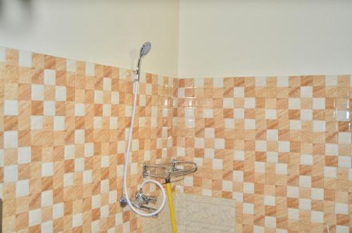 阿鲁沙Heart Of Africa Adventure and Apartments的瓷砖浴室内带软管的淋浴