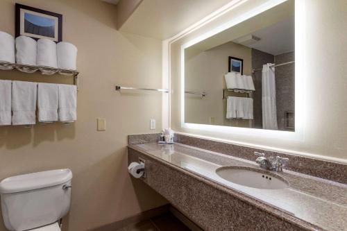 休斯顿Comfort Suites near Texas Medical Center - NRG Stadium的一间带水槽、卫生间和镜子的浴室