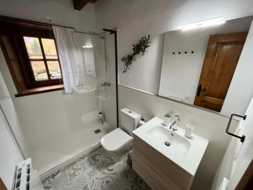 普拉德埃米塔la Caseta Boi Taull - 2 habitaciones的一间带水槽、卫生间和镜子的浴室