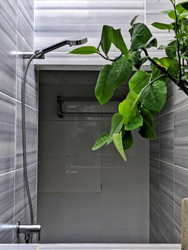 图鲁斯杜Dhoadhi Retreat的带淋浴的浴室