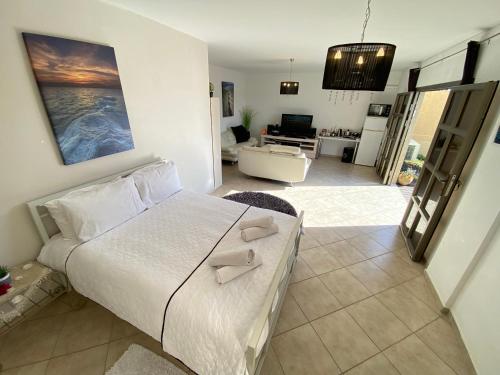 阿拉德Desert Pearl Arad的一间卧室设有一张床和一间客厅。