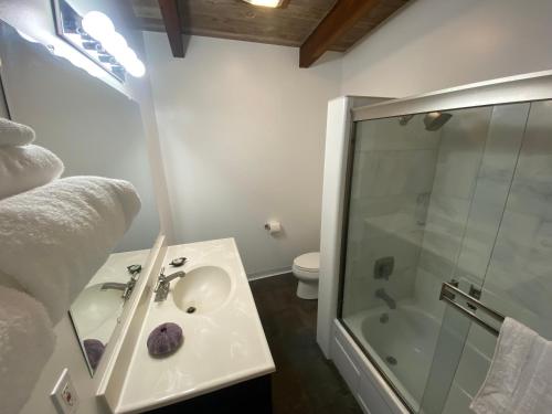 布拉格堡Pacific Sands Vacation Home的一间带水槽、淋浴和卫生间的浴室
