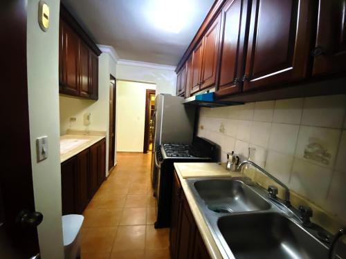 圣多明各Amplio apartamento en Gazcue SDQ的厨房配有水槽和炉灶 顶部烤箱