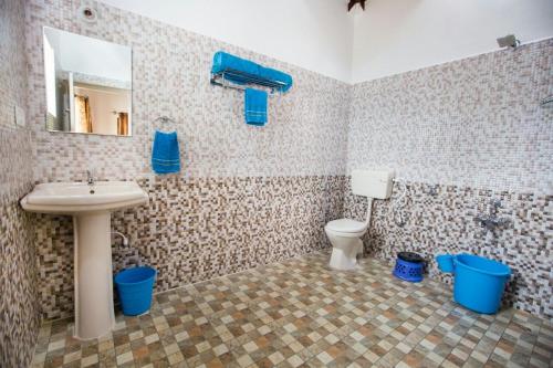 马迪凯里The Nest bettathur, Coorg的一间带水槽、卫生间和镜子的浴室