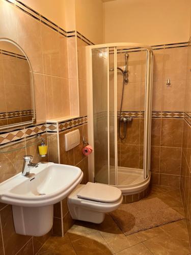 巴拉顿城堡Party Villa Holiday Rent Balatonfoldvar的带淋浴、卫生间和盥洗盆的浴室