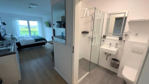 NidderauFernweg Apartments的带淋浴、盥洗盆和镜子的浴室