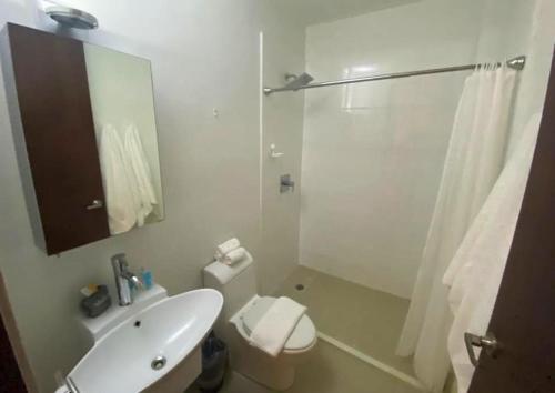 圣胡安KASA The Lofts 302的浴室配有卫生间、盥洗盆和淋浴。