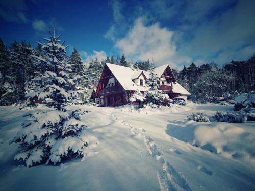 SloupCottage: AŽ PO UŠI („Head over heels“)的雪地里满是脚印的房子