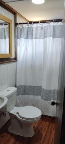 富塔莱乌富Refugio Los Cipreses Hotel的一间带卫生间和淋浴帘的浴室