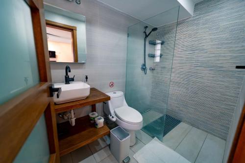 喀巴里特KITE BEACH Oceanfront LUXURY STUDIO - All new in 2022的浴室配有卫生间、盥洗盆和淋浴。