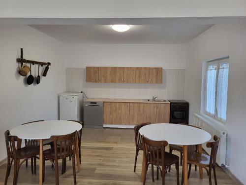 莫伊西德约斯Casa Berbece的一间厨房,内设两张桌子和椅子