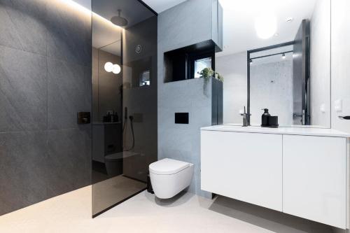 雷克雅未克Blue Viking Apartments Reykjavik的浴室配有卫生间、盥洗盆和淋浴。