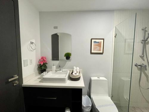 圣佩德罗苏拉Amplio condominio ejecutivo con hermosa vista的一间带水槽、卫生间和镜子的浴室