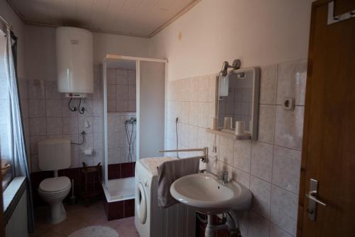 Brod MoraviceApartment "Johana"的一间带水槽和卫生间的浴室
