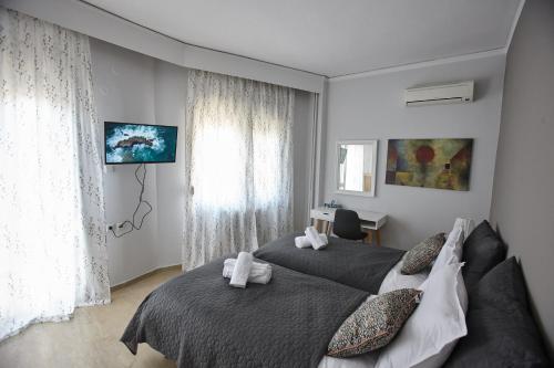 亚历山德鲁波利斯C.L.A. 2 City Lux Apartment Alaxandroupoli的一间卧室设有两张床和窗户。