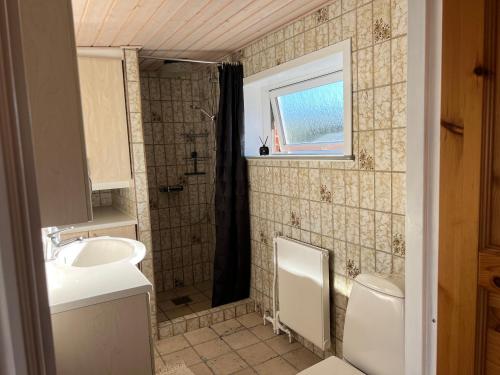 哈博尔Hyggeligt byhus的一间带水槽、卫生间和淋浴的浴室