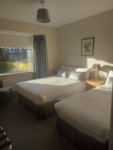 科克Blackrock Carole Ville Guesthouse的酒店客房设有两张床和窗户。