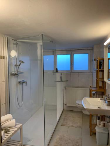 布雷根茨Chalet zum See的带淋浴和盥洗盆的浴室