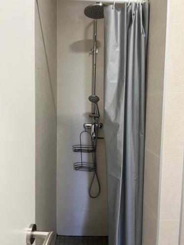 奥库格哥恩基apartment Vujcic 2的浴室内配有淋浴帘。