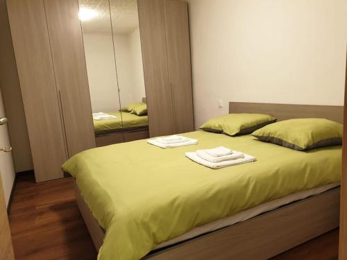 里韦拉BnB Rivera-Monteceneri的一间卧室配有一张大床和毛巾