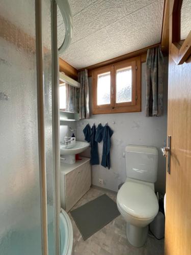 阿克斯普Chalet Chutzli的一间带卫生间和水槽的小浴室
