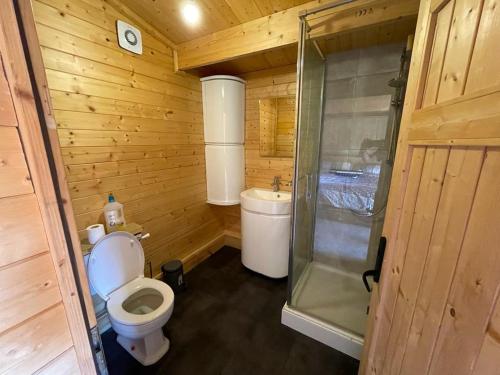 海斯Secret Hythe, Sea views Town location 2km Eurotunnel的一间带卫生间和淋浴的小浴室