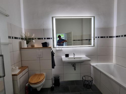 MügelnZeitreise: Wohnen im Herrenhaus genau zw. L u. DD的一间带卫生间、水槽和镜子的浴室