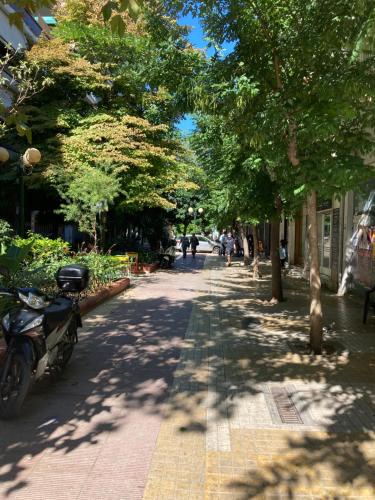 雅典Sunny calm apartment in pedestrian street的一条有树木和摩托车停在人行道上的街道
