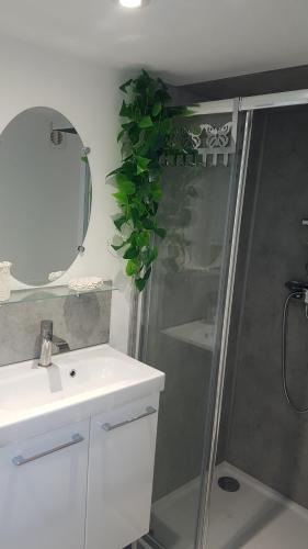 马赛gite sous l'olivier的带淋浴、盥洗盆和镜子的浴室