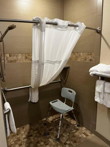 巴克斯特Rapid River Lodge的浴室内配有淋浴帘和椅子