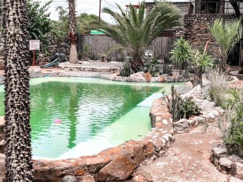 KangNkisi Guesthouse的棕榈树花园中的游泳池