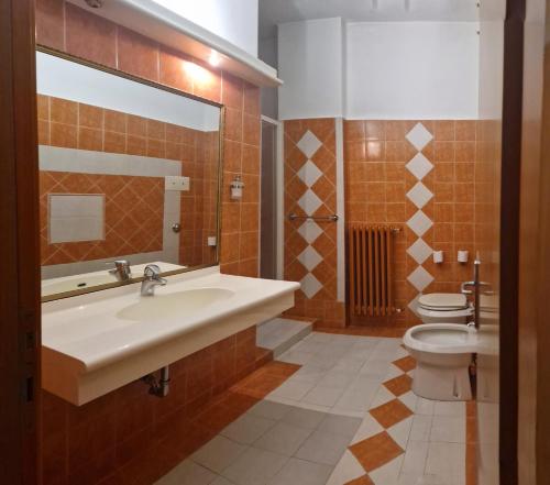 博尔特伊略Hotel San Giorgio的一间带水槽和卫生间的浴室