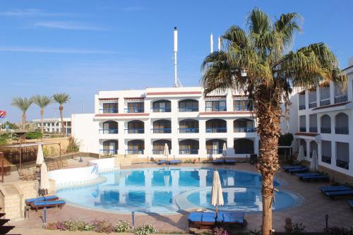 沙姆沙伊赫El Khan Sharm Hotel的棕榈树酒店和大型游泳池