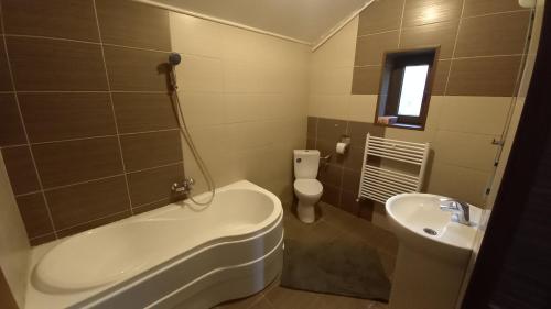 布雷亚扎Breaza - Grădina Ascunsa的带浴缸、卫生间和盥洗盆的浴室