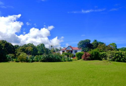 AmbohitraThe Litchi Tree Amber Mountain Boutique Hotel的绿草丛中的房屋