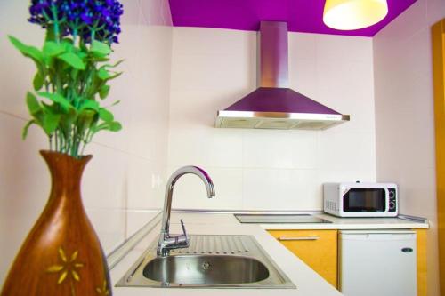 阿尔么丽亚阿尔梅利亚16:9套房公寓酒店的厨房配有水槽和花瓶,花朵紫色