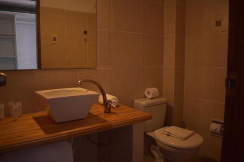 拉帕洛马Hotel Palma de Mallorca的一间带水槽和卫生间的浴室