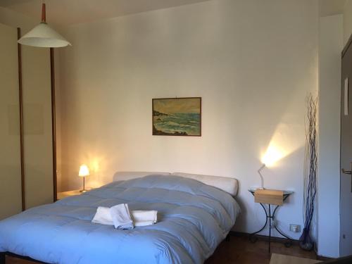 福利尼奥Affittacamere Ferranti di fronte al Centro di Selezione的一间卧室配有蓝色的床和两个枕头